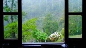 Vidraçaria em Campinas Piso vinílico em Holambra